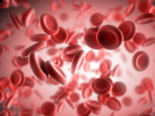 Bleeding Disorders of Unknown Cause: Challenges in Diagnosis and Patient Management